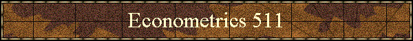 Econometrics 511